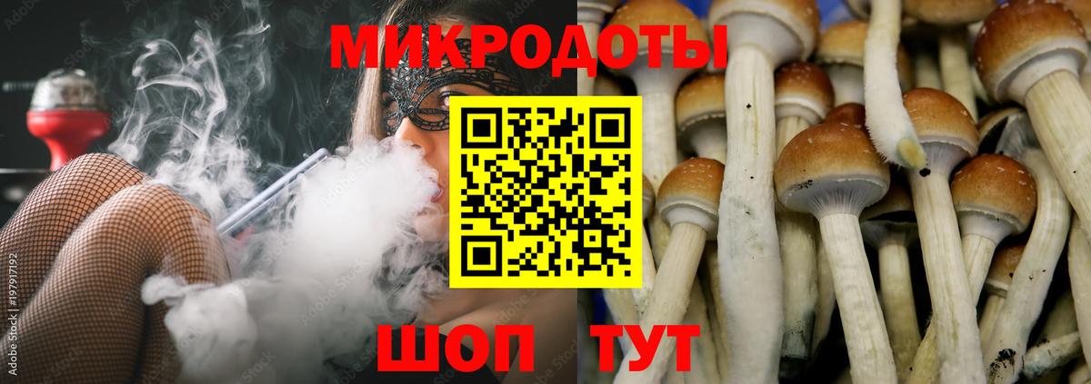 Псилоцибиновые грибы мицелий  Вход с VPN  Дедовск  Галлюциногенные грибы мухоморы 